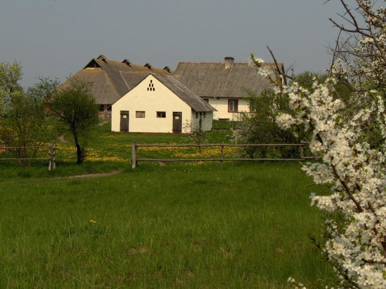Blick von der Koppel auf die Hofgebäude mit blühenden Wiesen und Bäumen