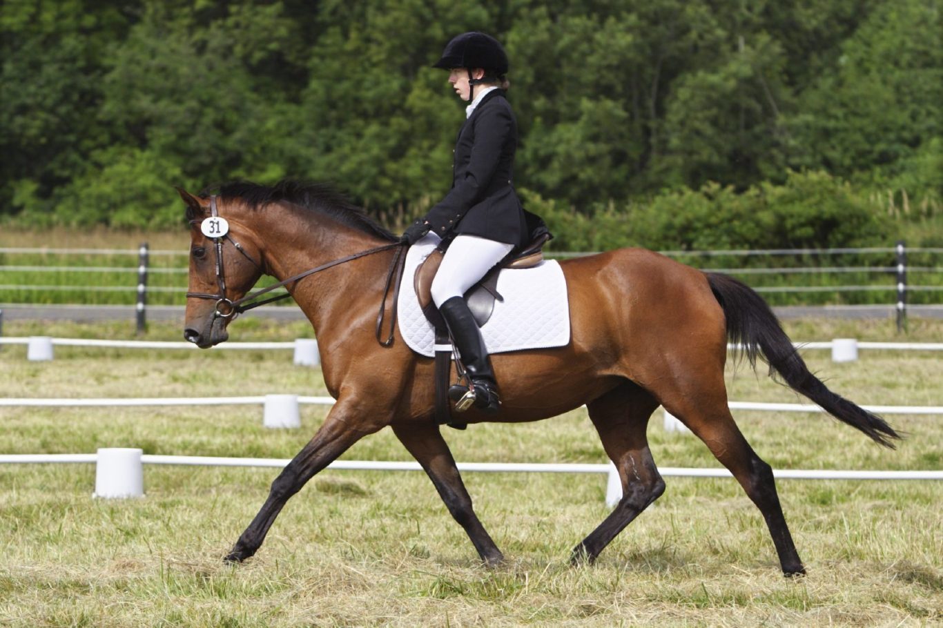 Dressurreiter beim Reiten auf dem Reitplatz